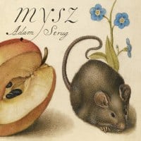 adam_strug - mysz