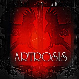artrosis - odi_et_amo