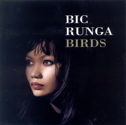 bic_runga - birds
