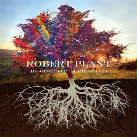 robert_plant - digging_deep_subterranea