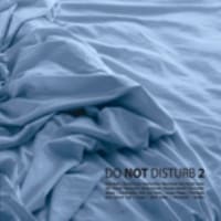rozni_wykonawcy - do_not_disturb_vol.2