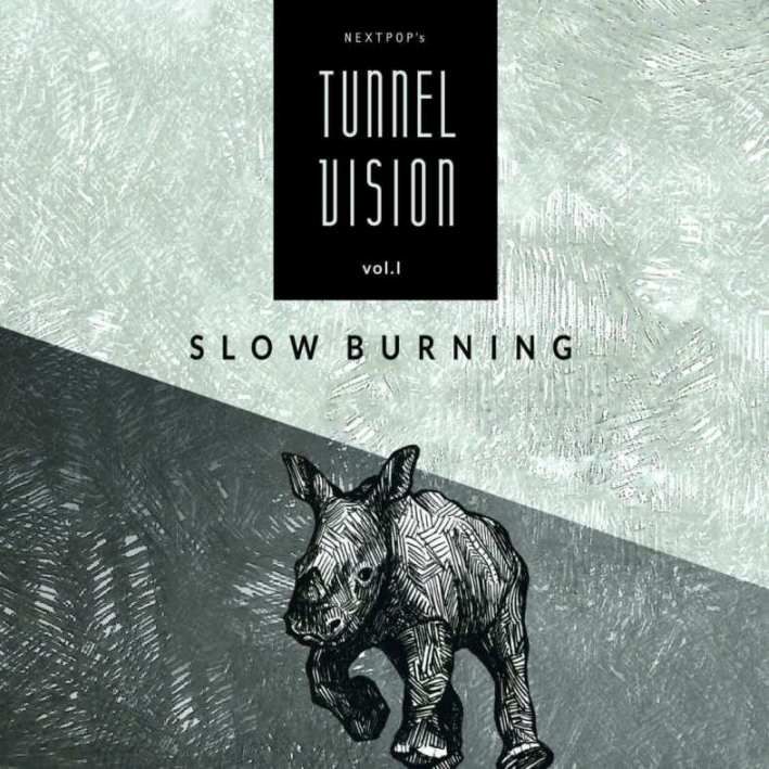 rozni_wykonawcy - nextpops_tunnel_vision__slow_burning