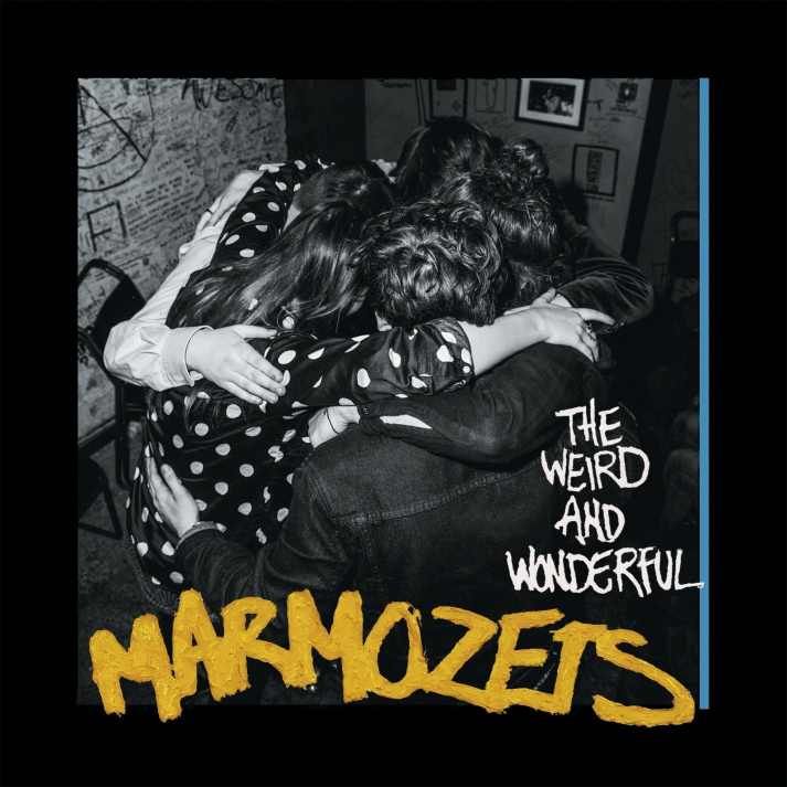 marmozets - the_weird_and_wonderful_marmozets_