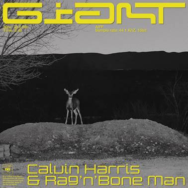 Calvin Harris & Rag’n’Bone Man - Giant. Posłuchaj nowego singla! 