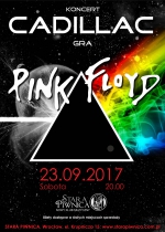 The Dark Side of The Moon Pink Floyd w Starej Piwnicy!