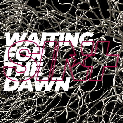 Nowy album Sinplus 2 grudnia. Posłuchaj Waiting For The Dawn
