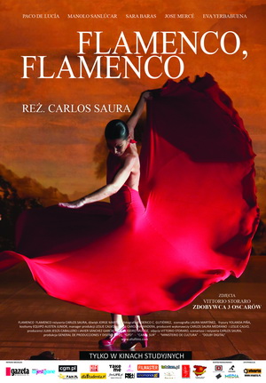 flamenco_flamenco